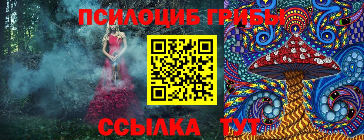 Галлюциногенные грибы Magic Shrooms  Вход с VPN  магазин продажи   Невинномысск  Псилоцибиновые грибы GOLDEN TEACHER 